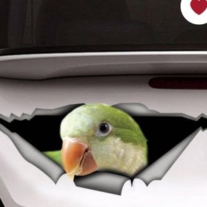 Meet your Posher, Joann